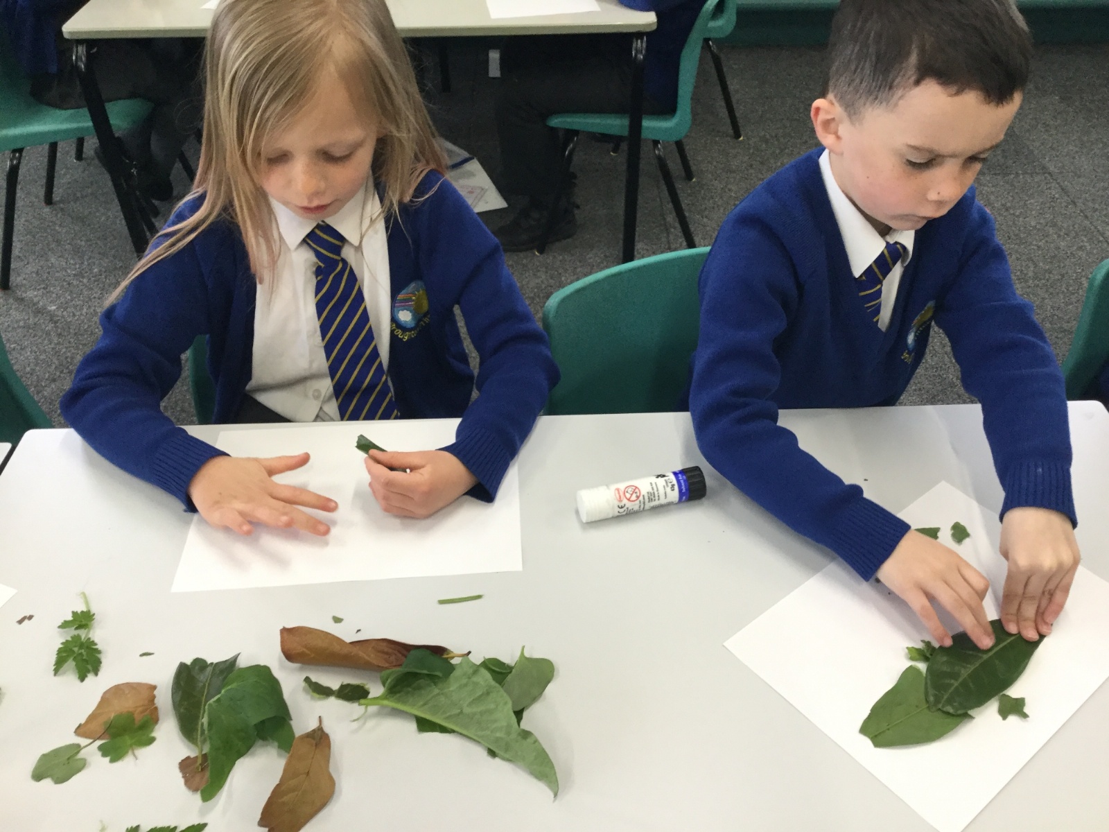 Broughton Primary School Plant Artwork 2021